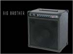 Big Brother